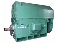 阿拉善Y系列6KV高压电机